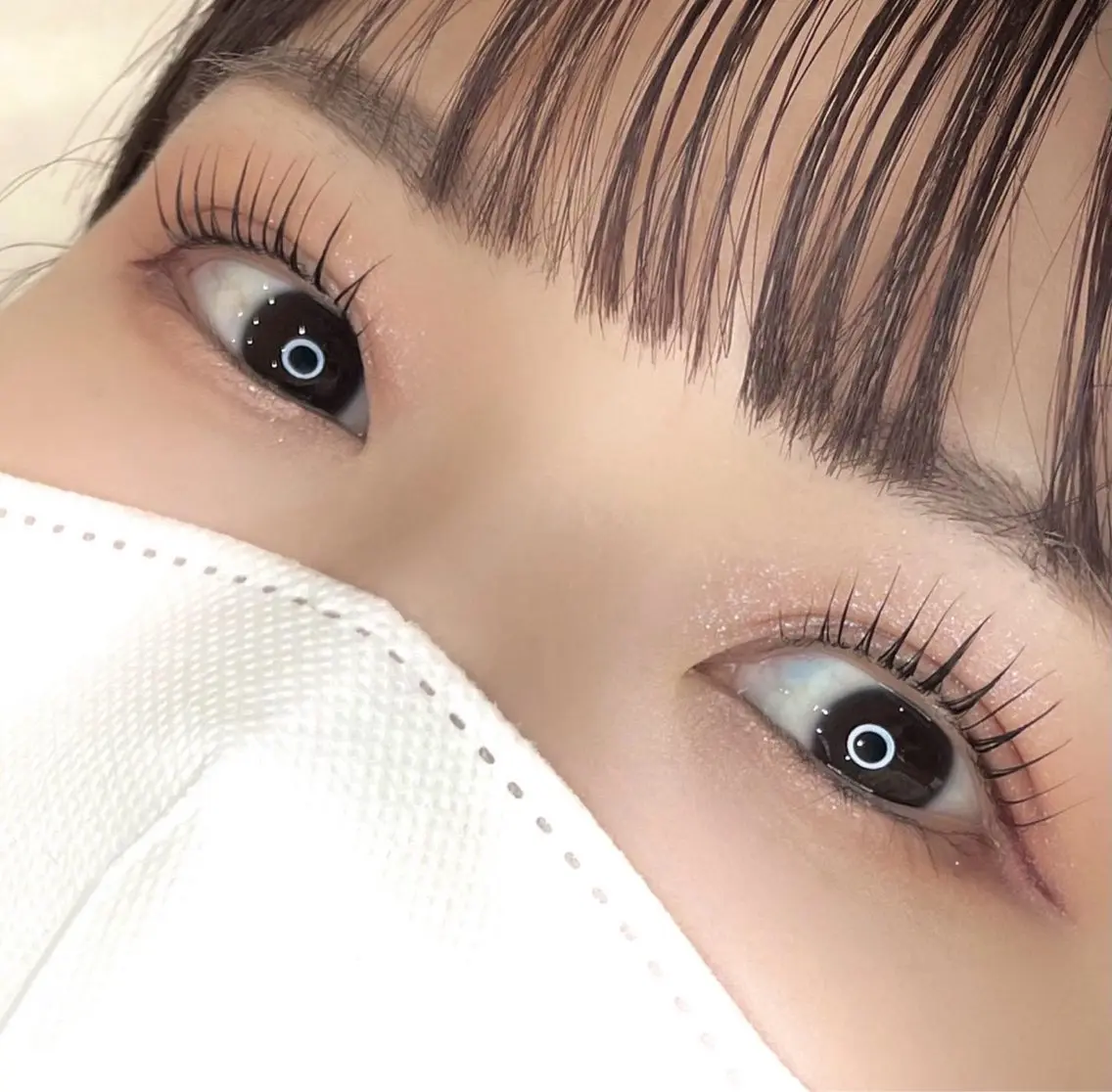 マツパの写真