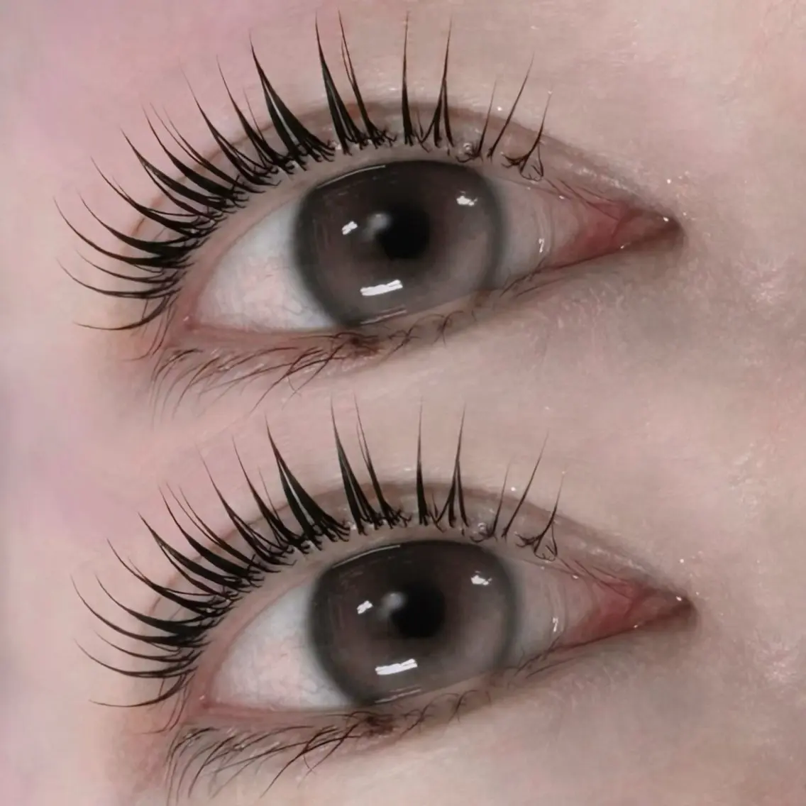 マツエク・マツパ Daisy Lash 今吉🍒🖤のマツエク・マツパデザイン