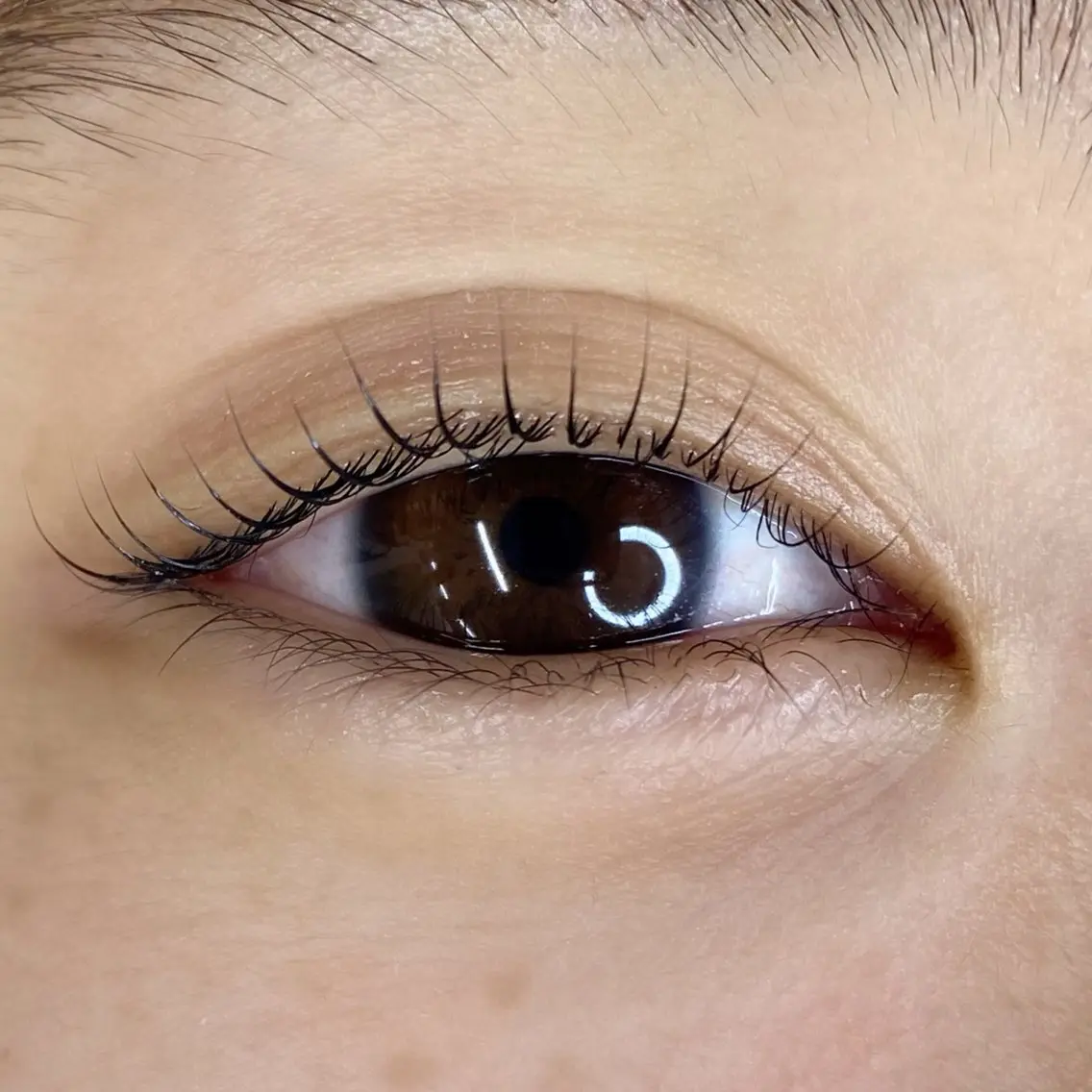 マツエク・マツパ まつげパーマ セクシー 一重×まつ毛パーマ マツパ U too e's MANAE🌼の眉毛・アイブロウイメージ