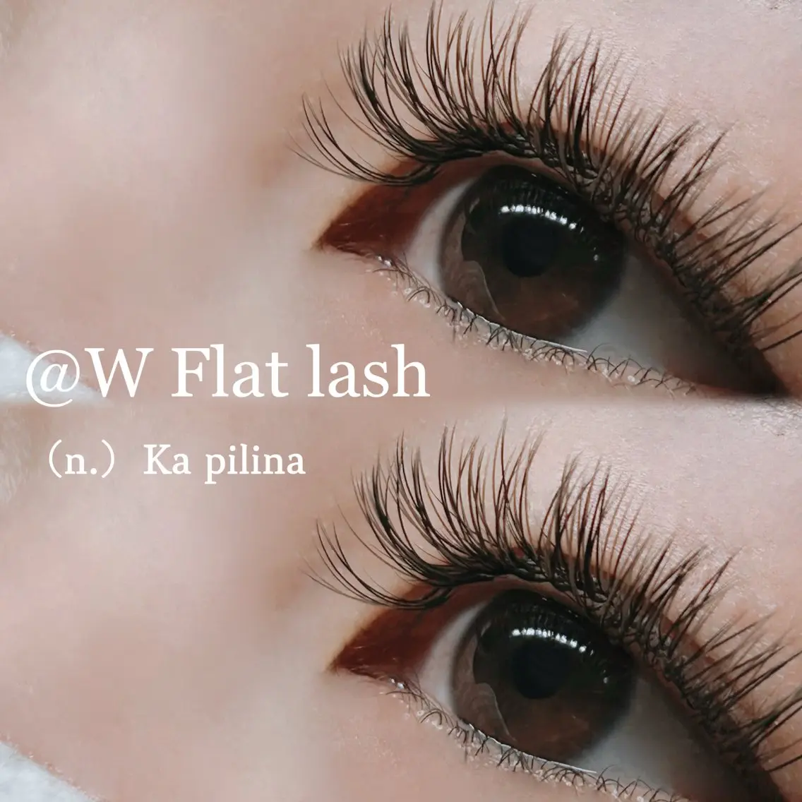 【フラット×フラット】Wフラットラッシュ60束(120本)の写真