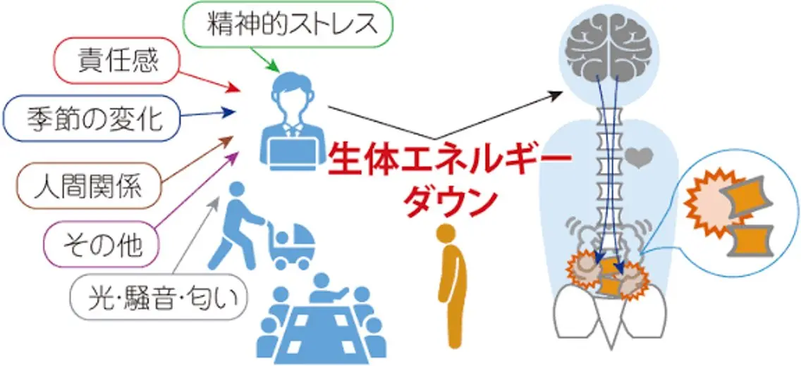 美整体サロン Regのエステ・リラクイメージ