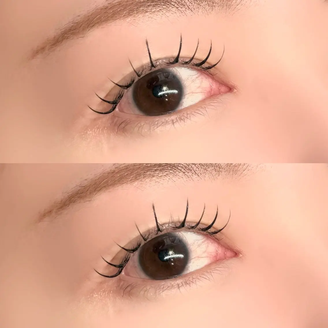 【モデル募集✨】リフエク オフ🈚️100本🩰🎀の写真