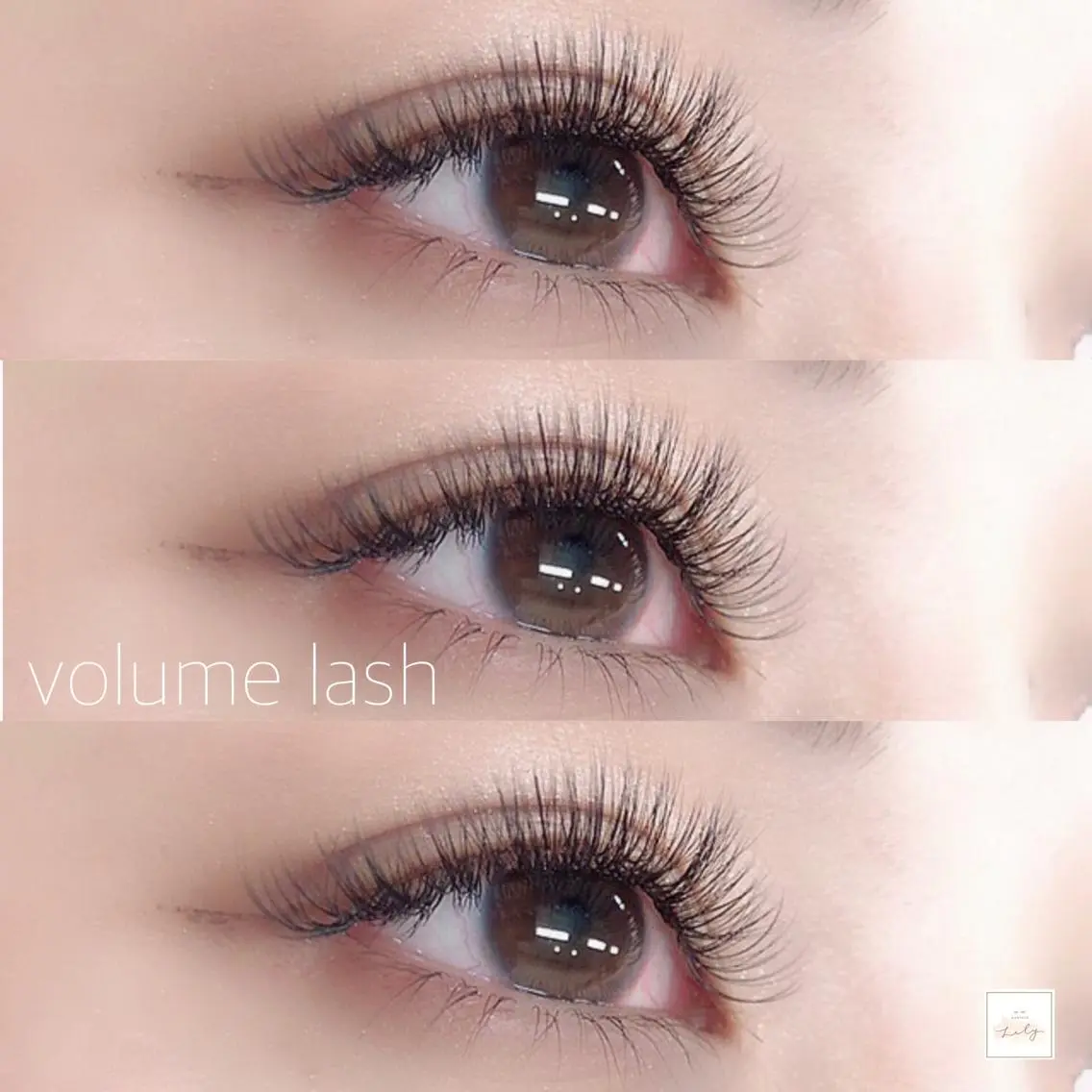 マツエク・マツパ ボリュームラッシュ eyelash Lilyのその他イメージ