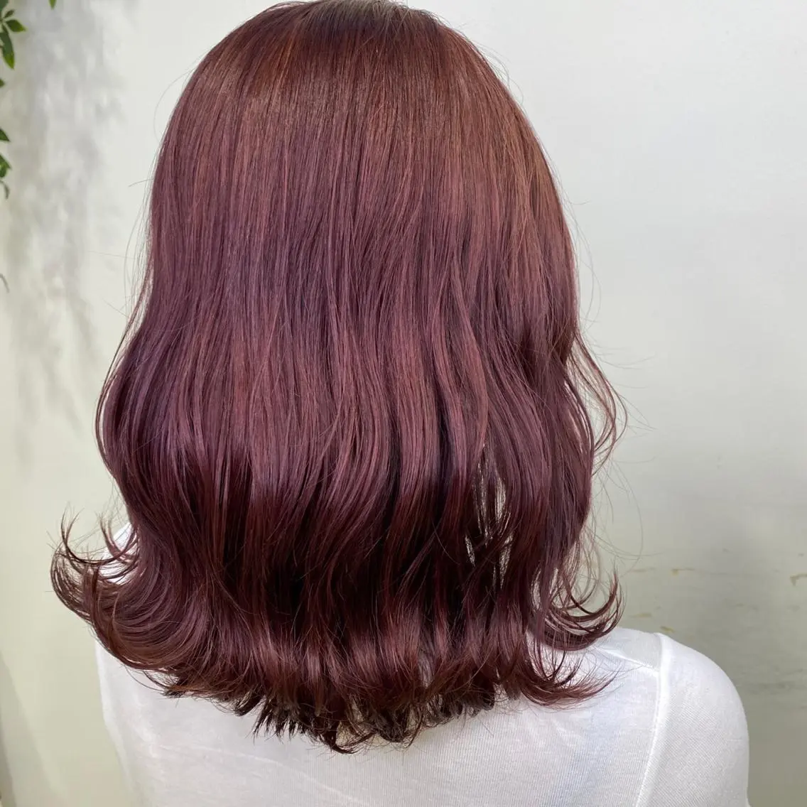 セミロング カラー 流行デザイン特化 東方 舜のヘアスタイル