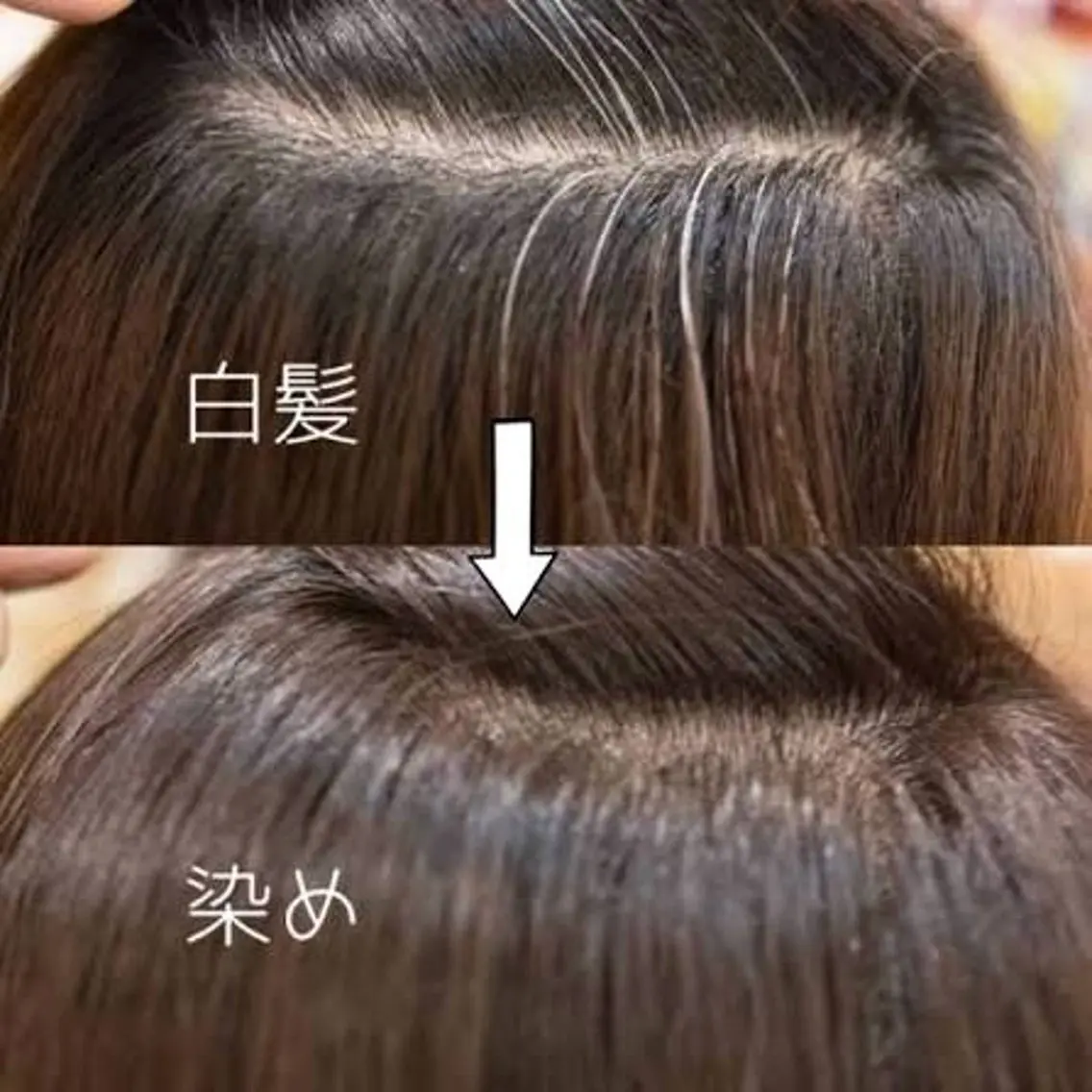 ✨️平日限定✨白髪染め👩🦳の写真