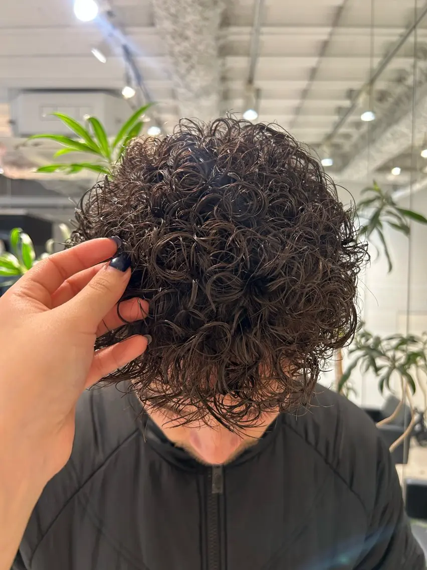 パーマ メンズ カット パーマ ANY / Noaのヘアスタイル