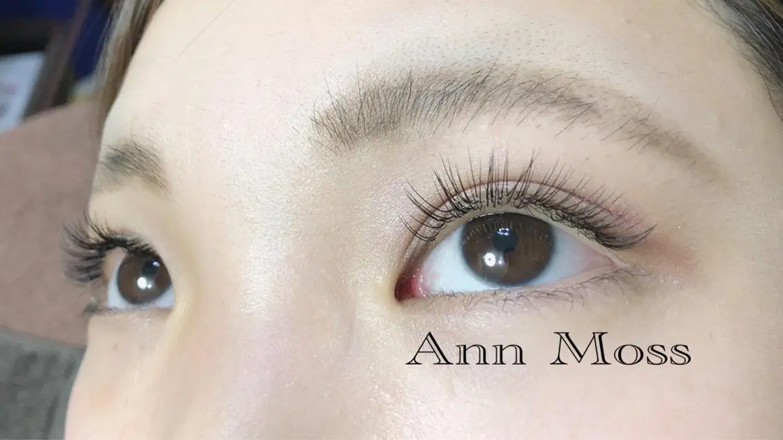 マツエク・マツパ 無料モデル募集中 Ann Mossのマツエク・マツパデザイン