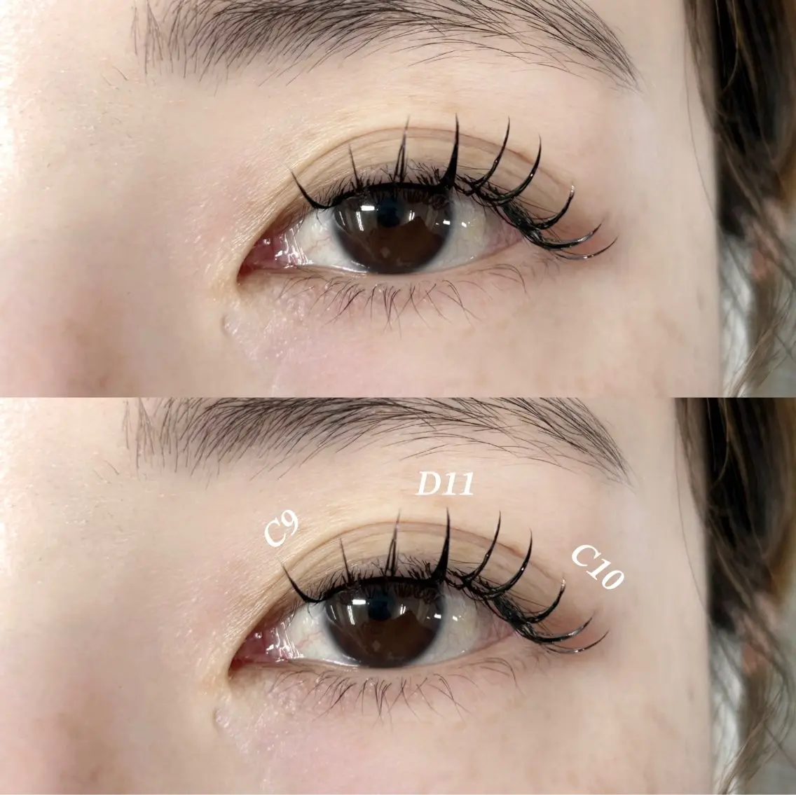 🌼ダブルフラットラッシュ50束🌼（目安シングル100本）の写真