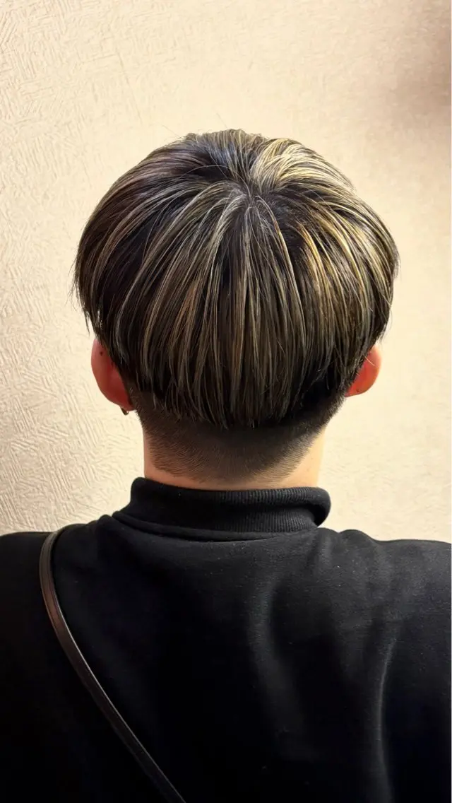 ハイライト(メッシュ)の写真