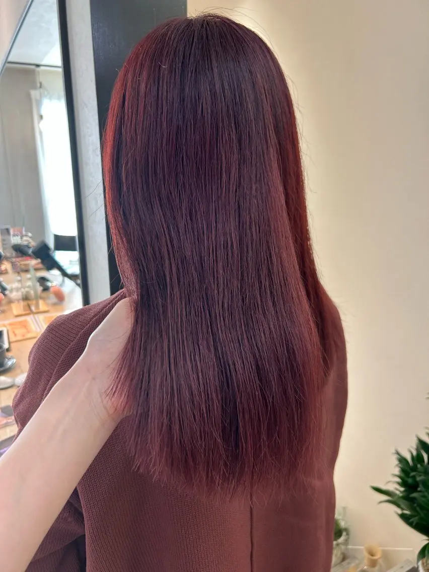 セミロング カラー ブリーチ カシス レッドカラー カット ヘアカラー トリートメント hubhair レイヤー/透明感のヘアスタイル