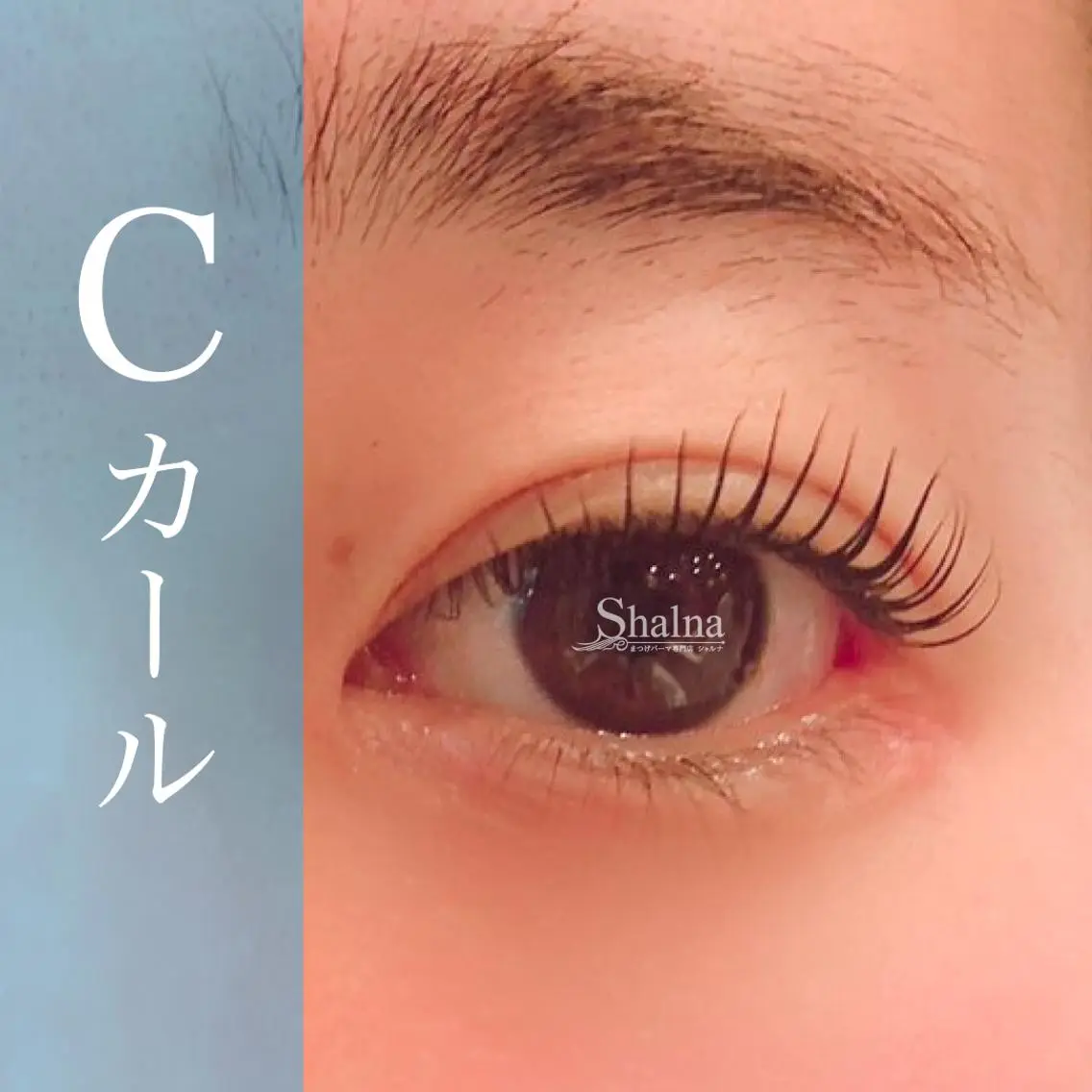 マツエク・マツパ Cカール ナチュラル まつげパーマ まつげパーマ専門店 シャルナ 新宿店のマツエク・マツパデザイン