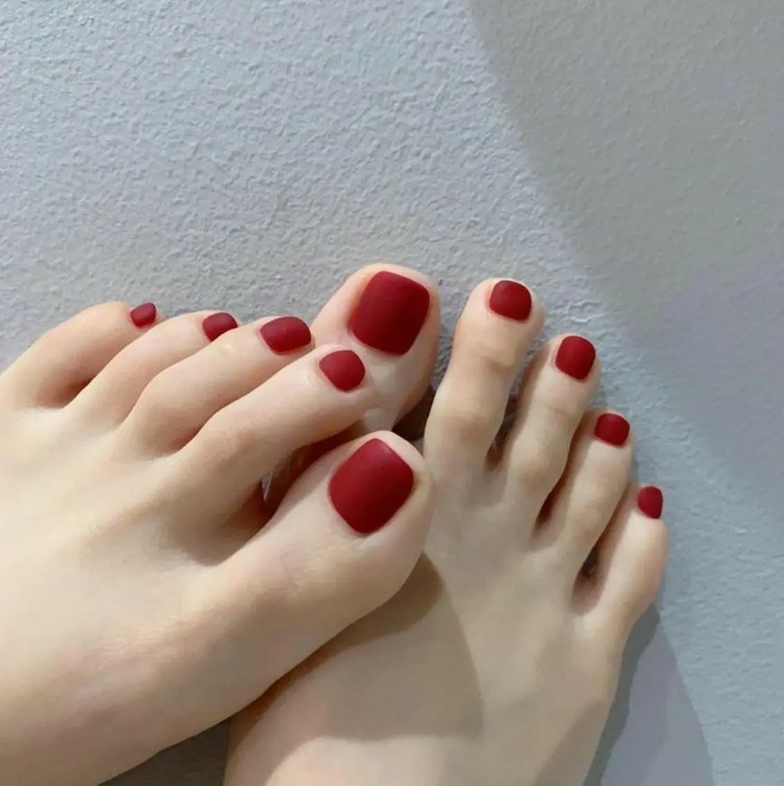 ワンカラー【オフ無し】の写真