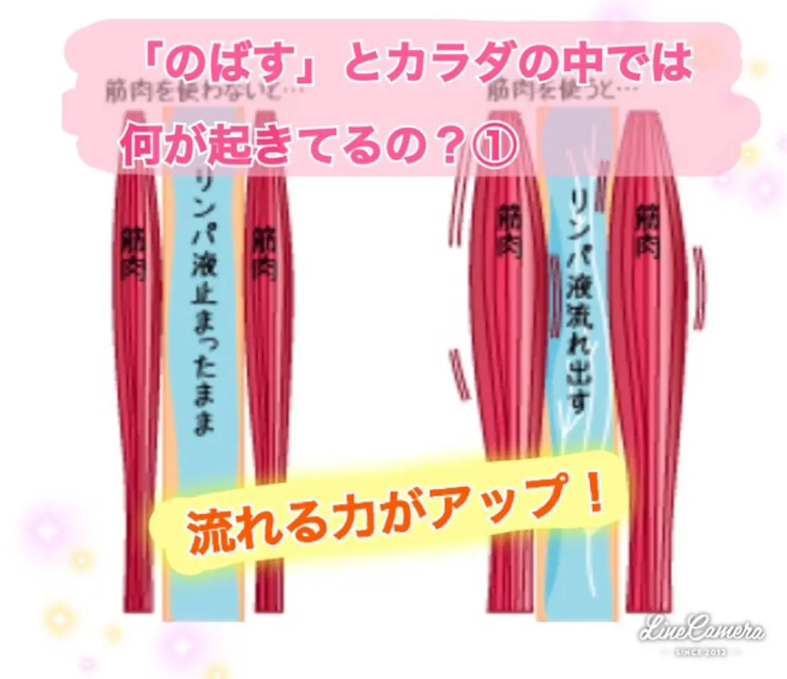 ショート カラー パーマ ヘアアレンジ メンズ キッズ ネイル マツエク・マツパ 伸ばしかけ ‍痩身＆ボディ 結果出し🌟丹野のエステ・リラクイメージ