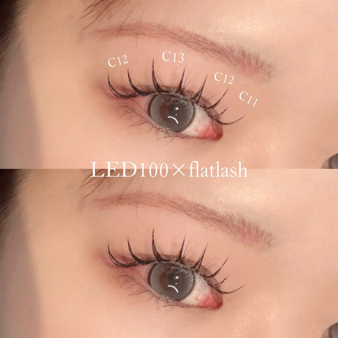 【LEDフラットラッシュ100本💎】ご新規様¥5500（オフなし˖*）の写真