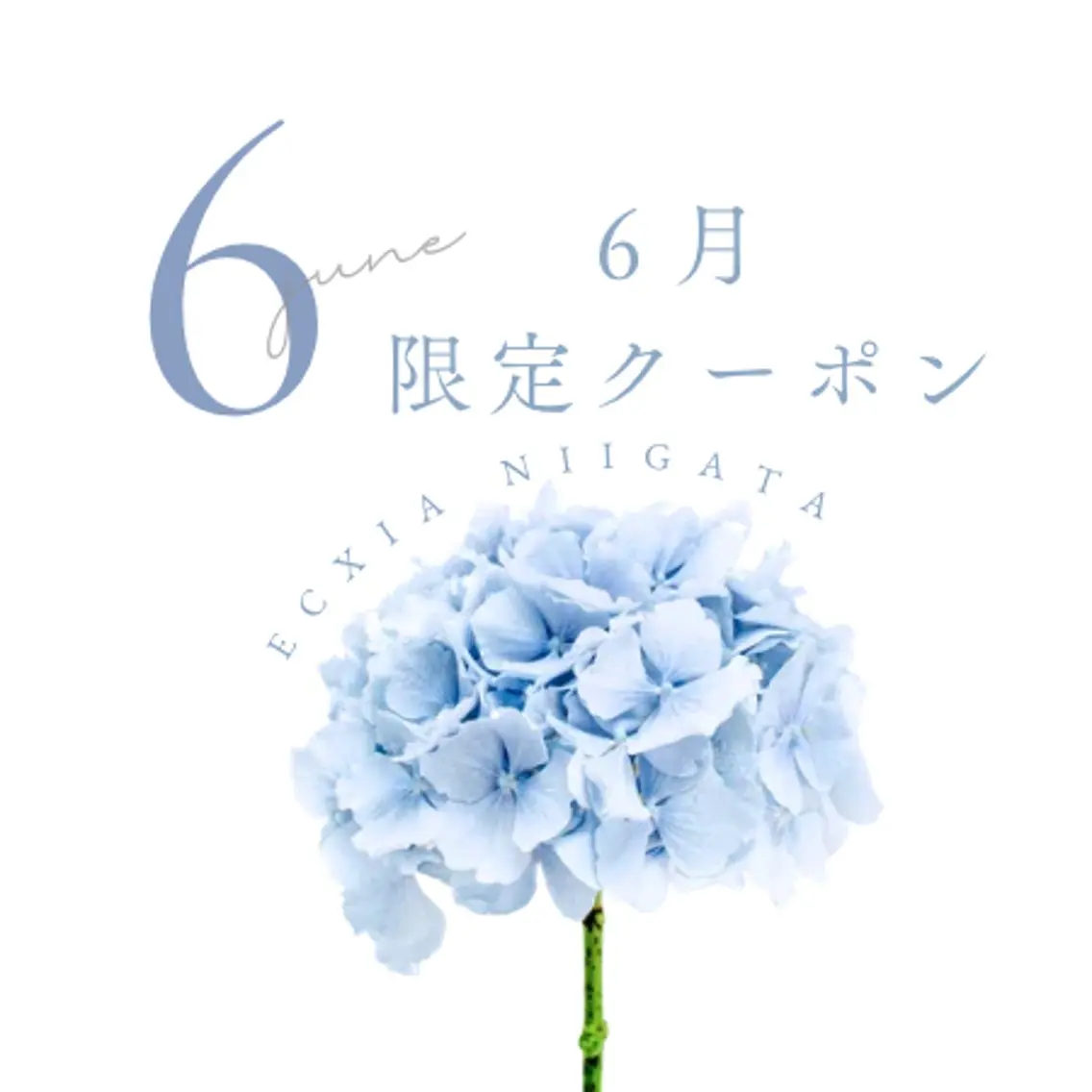 【6月限定🫧クーポン】最新セルフホワイトニング【9分×2回】¥500別途料金なしの写真