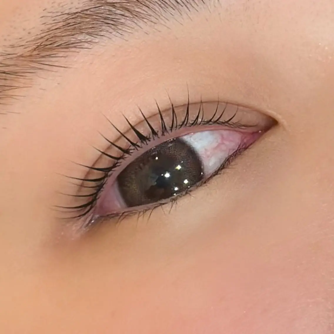 ［女性限定］ラッシュリフトの写真