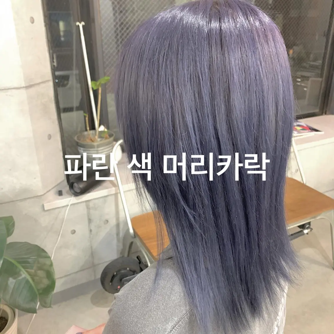 ミディアム カラー パーマ ヘアアレンジ メンズ キッズ ネイル マツエク・マツパ メンズブリーチ メンズハイライト メンズインナーカラー メンズ韓国風 アディクシーカラー ヘアカラー トリートメント ヘアセット 切りっぱなしヘアボブ ミディアムヘアRYOのヘアスタイル