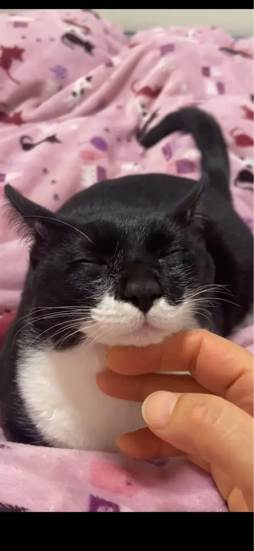 ちょっこ揉み/疲れ箇所30分もみほぐしの写真