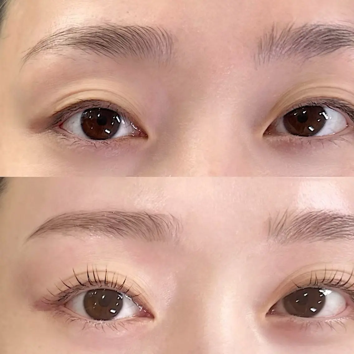 マツエク・マツパ THE BROW BAR n 渋谷店のマツエク・マツパデザイン