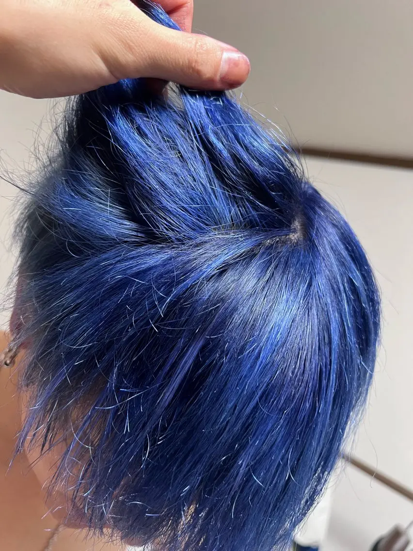 カラー 加藤 大和のヘアスタイル