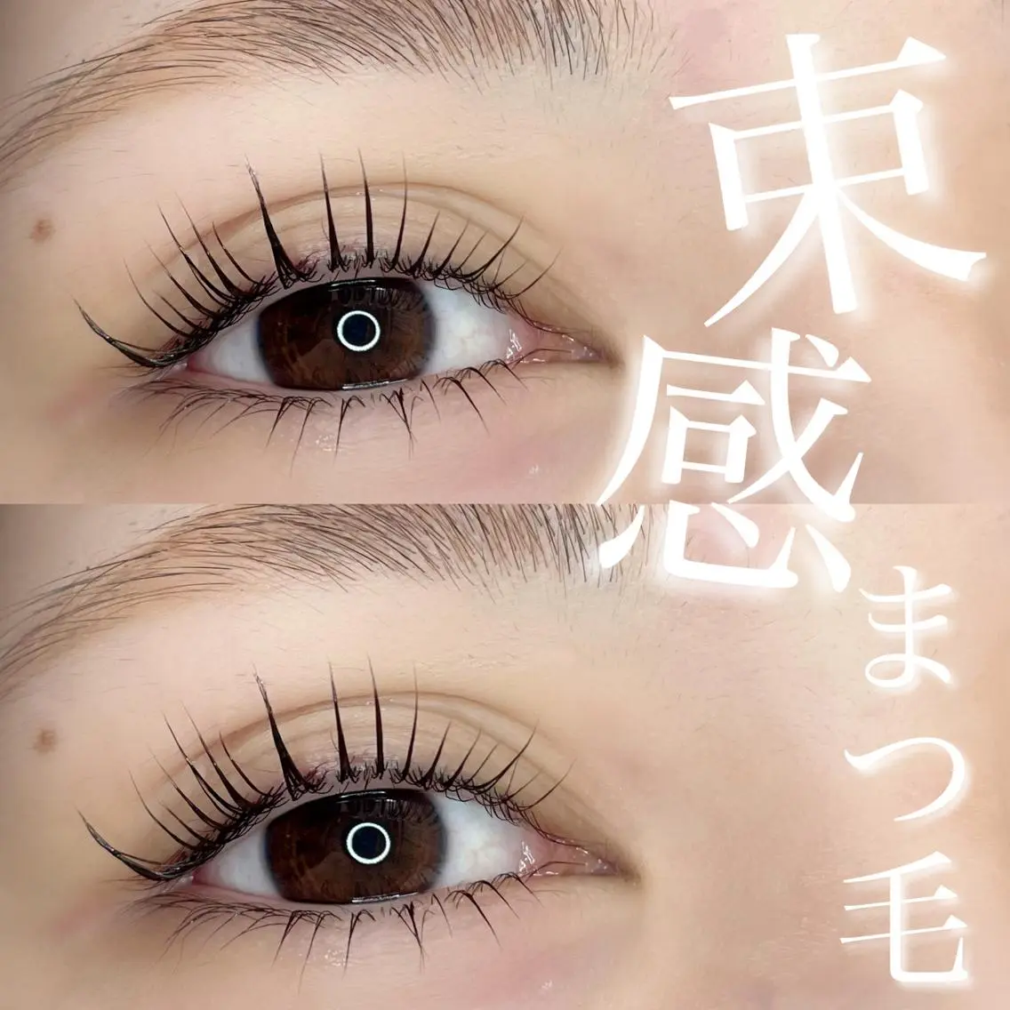 【梅田店初めての方限定】上下まつ毛パーマ♡の写真