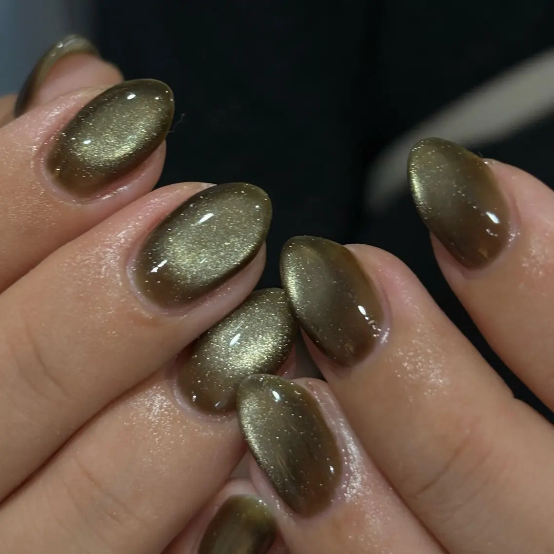 ネイル グリーン マグネットネイル ハンドネイル 🪻hina🪻 filonnailのネイルデザイン