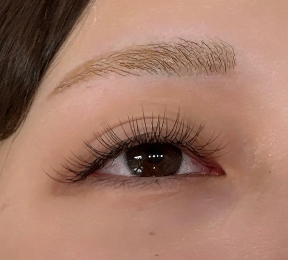 フラットラッシュ60本の写真