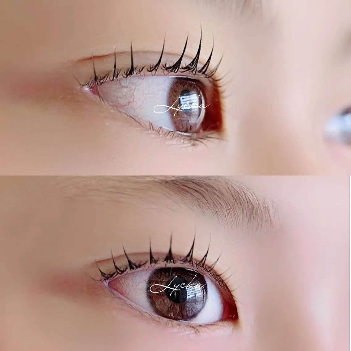 マツエク・マツパ lash&brow Lyckaのマツエク・マツパデザイン