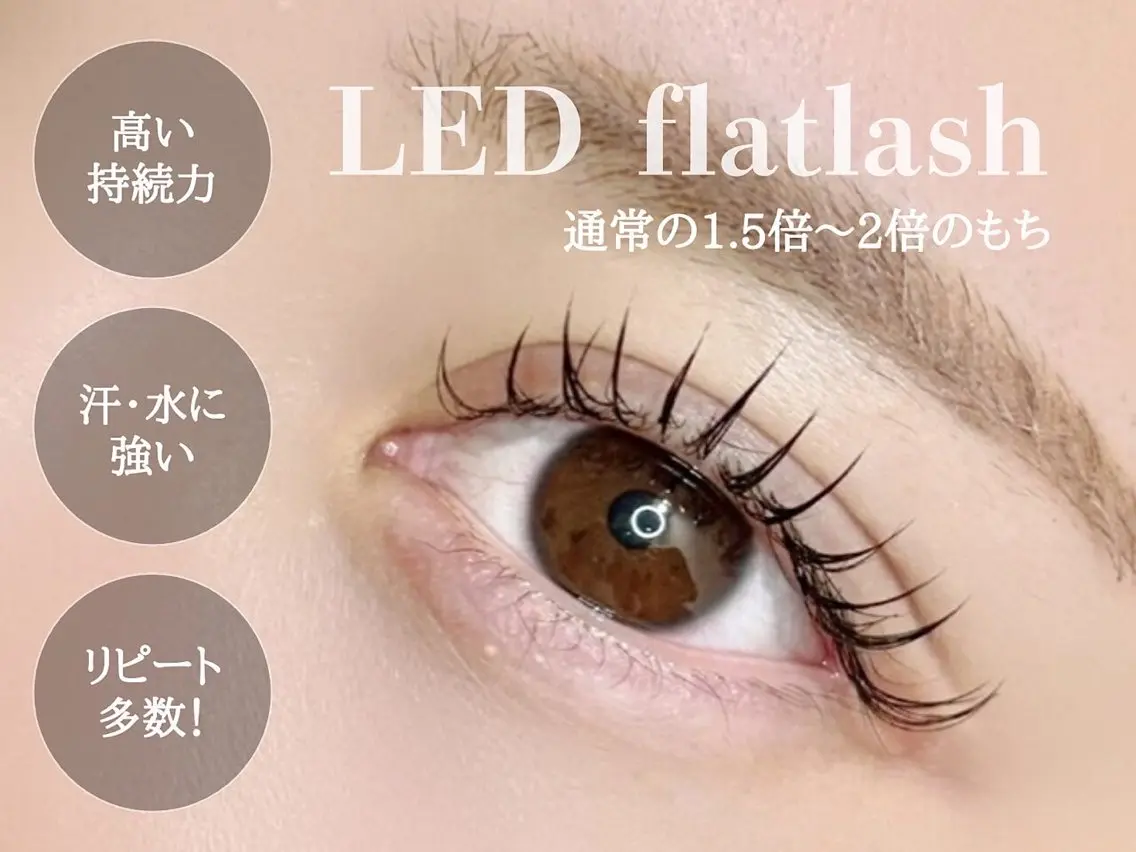 【高持続LED】ダブルフラット80束 ¥9,350の写真