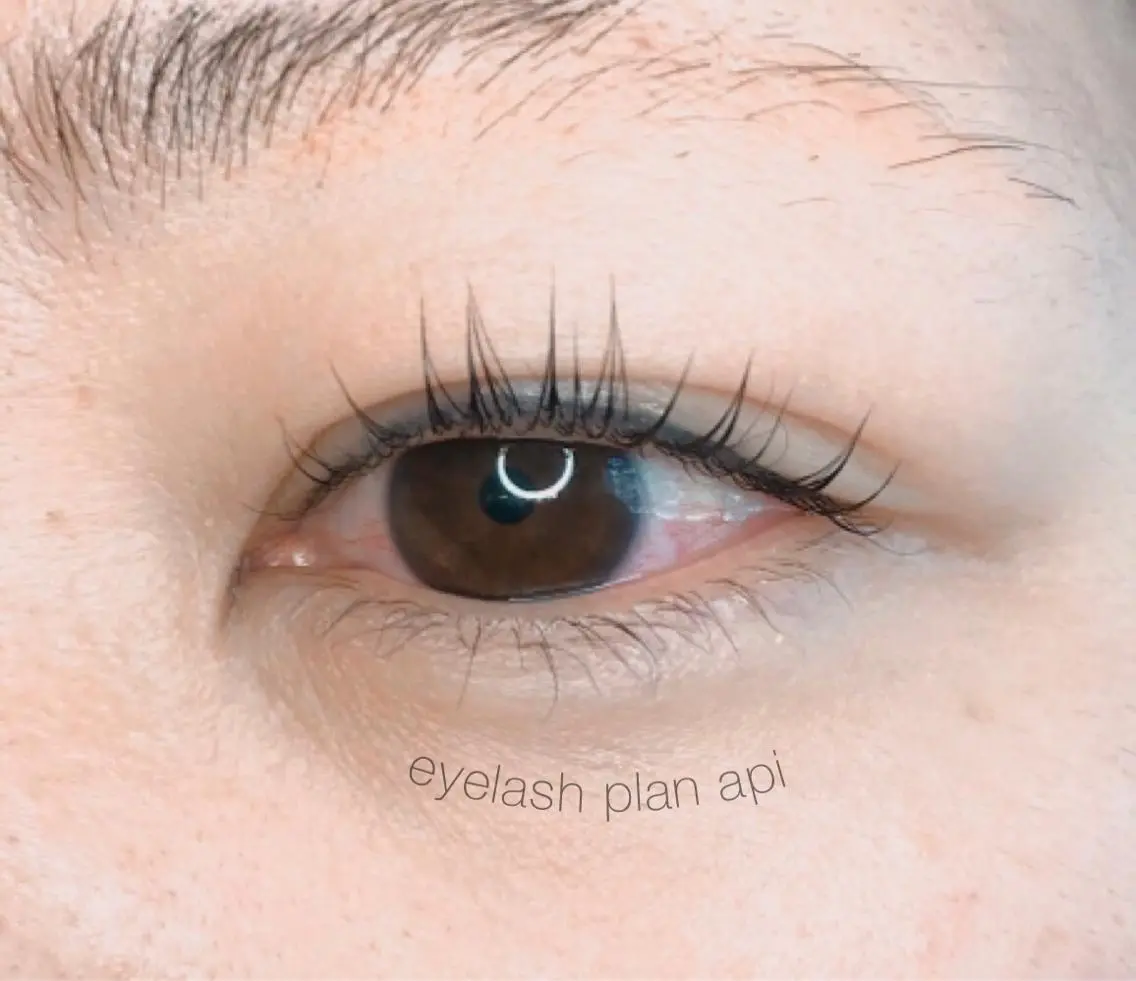マツエク・マツパ 《eyelash ｉｉｔｅ》森のマツエク・マツパデザイン