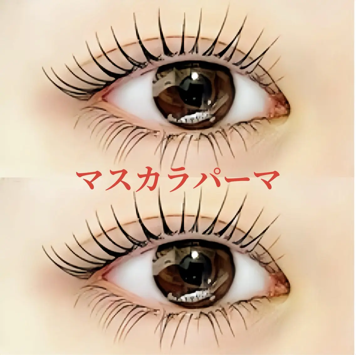 💞マスカラパーマ上下💞の写真