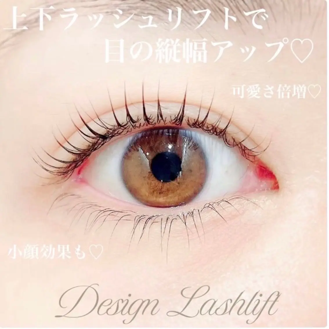 💎御新規様限定💎上まつ毛パーマ➕下まつげパーマ💎の写真