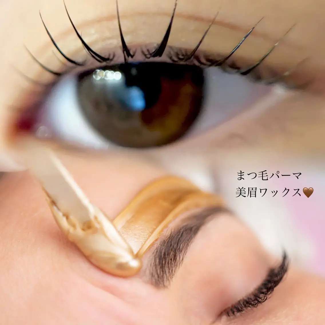 🌼掲載記念キャンペーン🌼まつ毛パーマ+美眉ワックスの写真