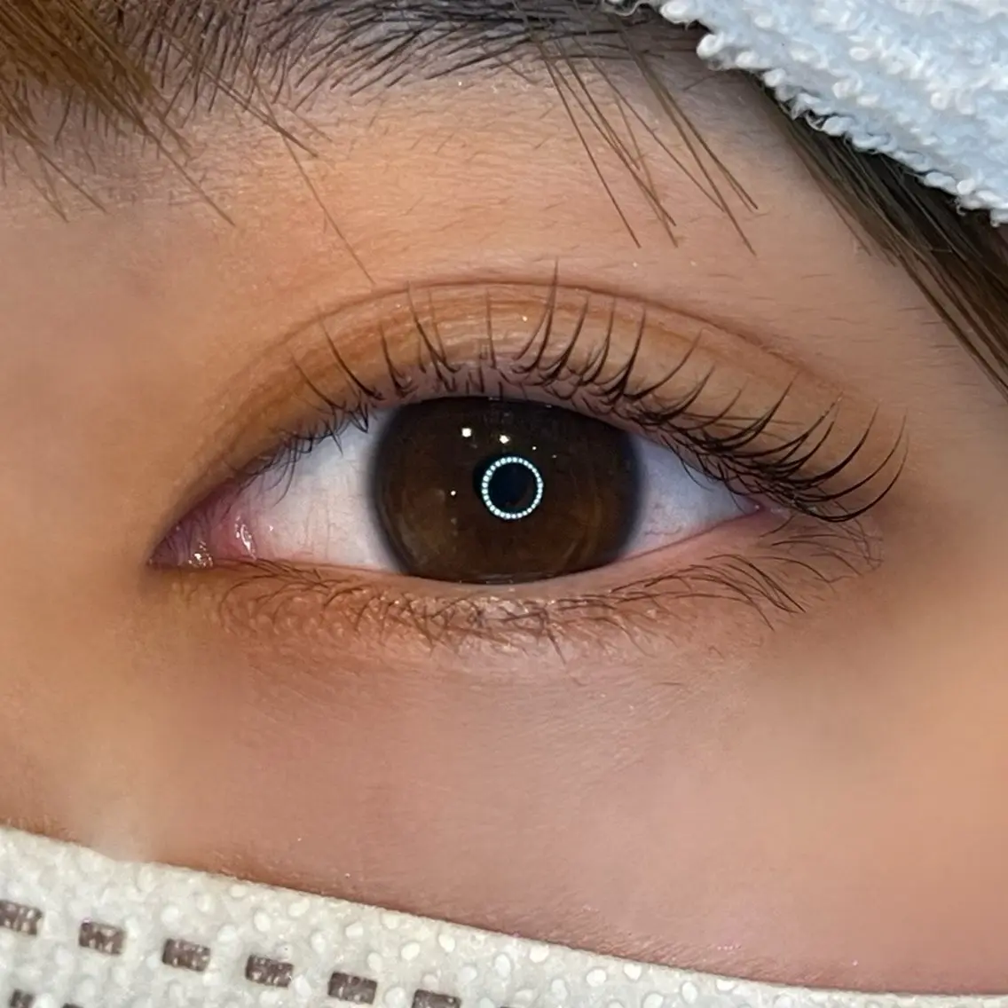 学生限定✨美まつ毛パーマ⭐️2660円❗️の写真