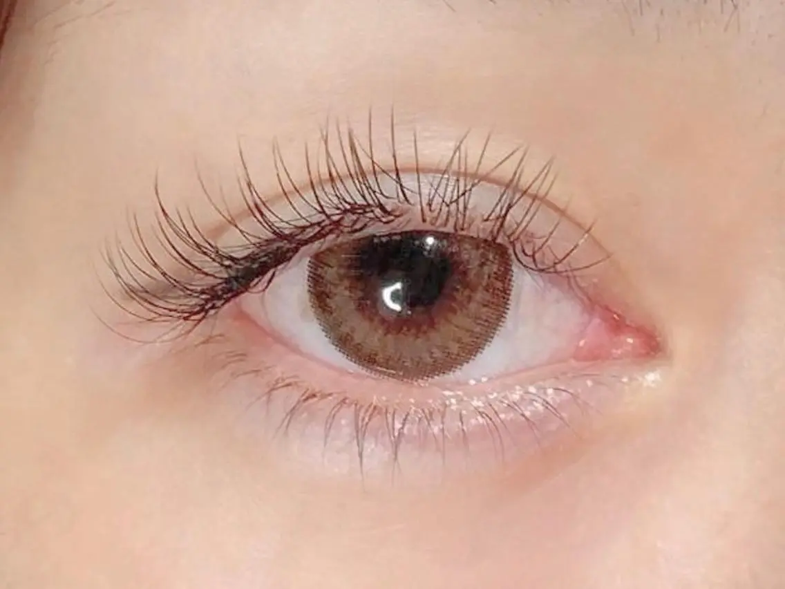 【ナチュラル】フラットラッシュ 120本♡コーティング付きの写真