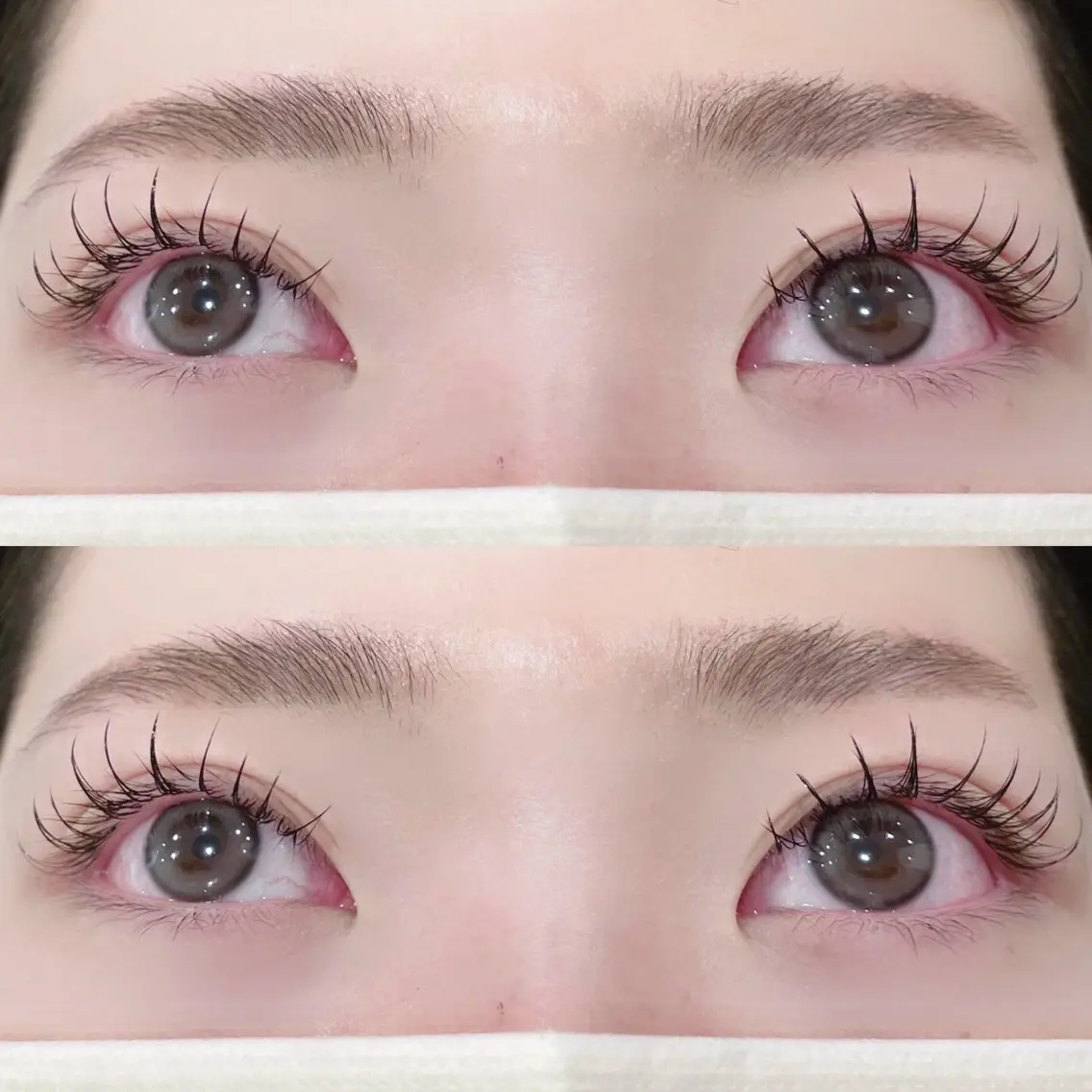 マツエク・マツパ CCカール Cカール フラットラッシュ Eye ELSA lash🤍東のマツエク・マツパデザイン
