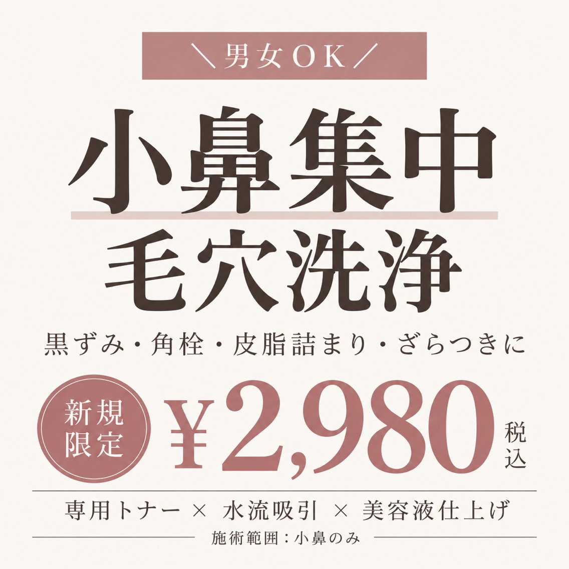 【小鼻の毛穴詰まりを集中洗浄★】ハイドロ毛穴洗浄★¥2980の写真