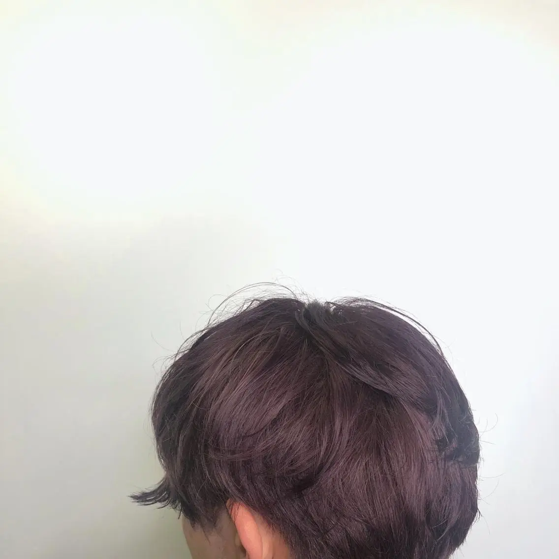 ショート カラー メンズ カット ヘアカラー ✴︎赤み除去カラー daichi✴︎のヘアスタイル