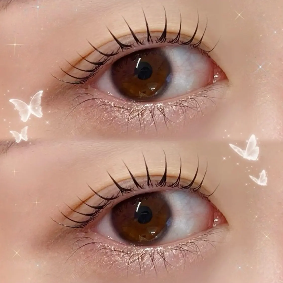 🦋韓国風⭐︎束感まつげパーマ🦋の写真