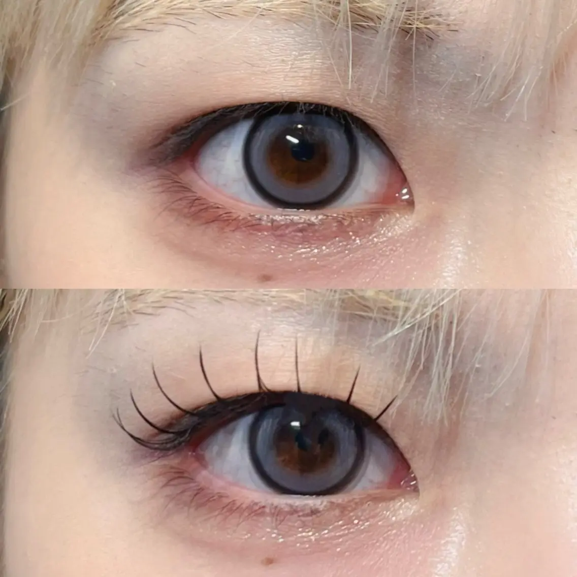 ご新規様限定⭐️フラットマットラッシュ 80本の写真