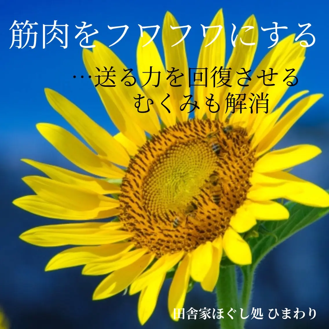 山嵜 まりこのその他イメージ