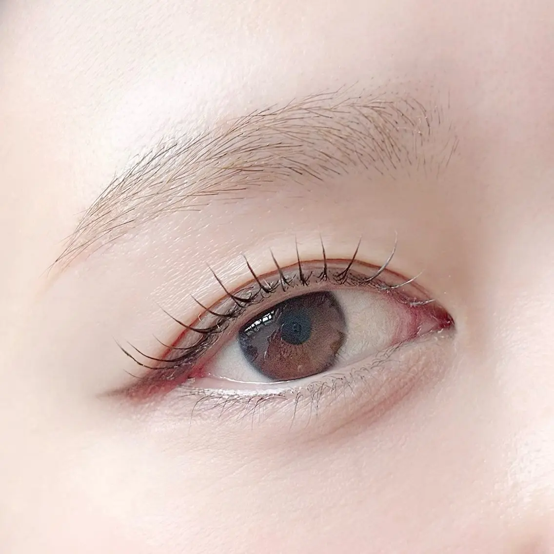 🟨SET🟦まつげパーマ×眉毛ワックス(毛量調整/間引きなし)の写真