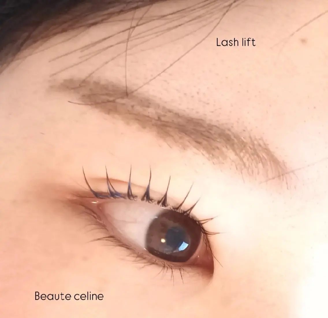 マツエク・マツパ マツパ LED✨beaute Celine🌛🌹のマツエク・マツパデザイン