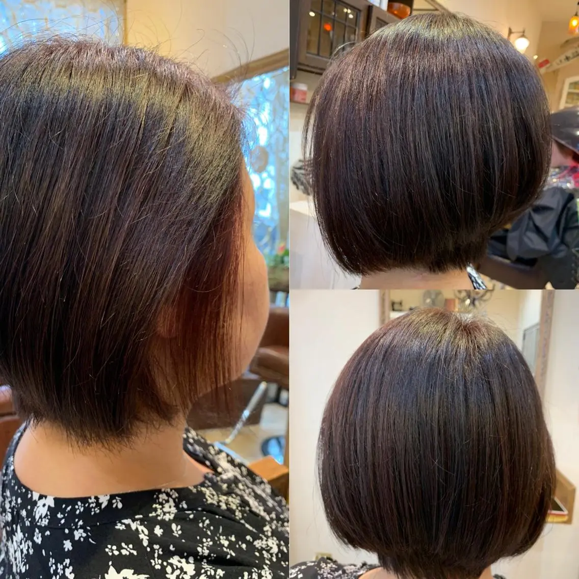 ショート カラー 佐藤 俊夫のヘアスタイル