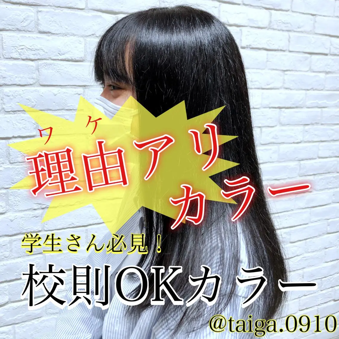 ロング カラー 黒髪 ナチュラルブラック レディースヘア💫 加藤たいが🐯のヘアスタイル