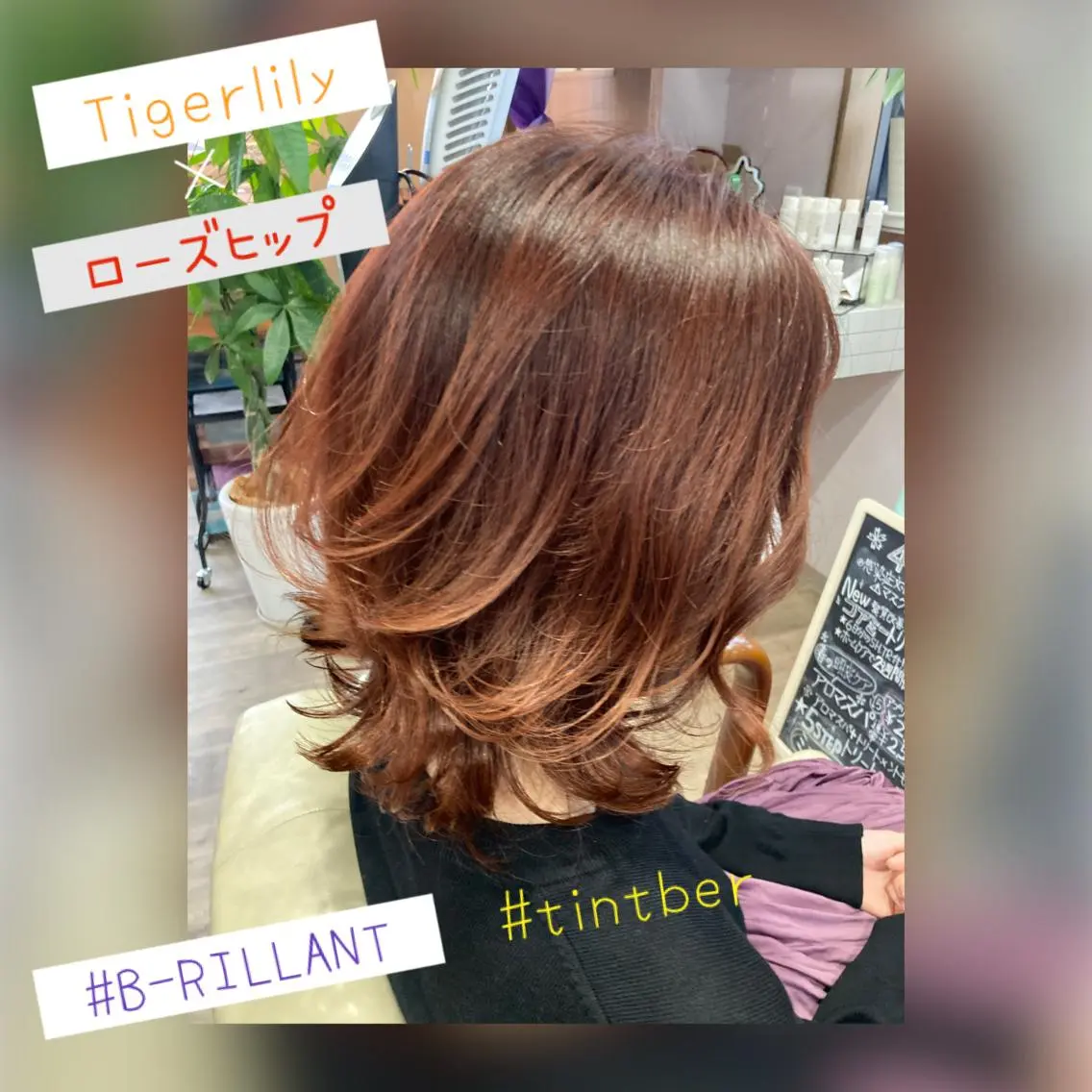 ミディアム カラー オレンジ カット ヘアカラー 今井 里美のヘアスタイル