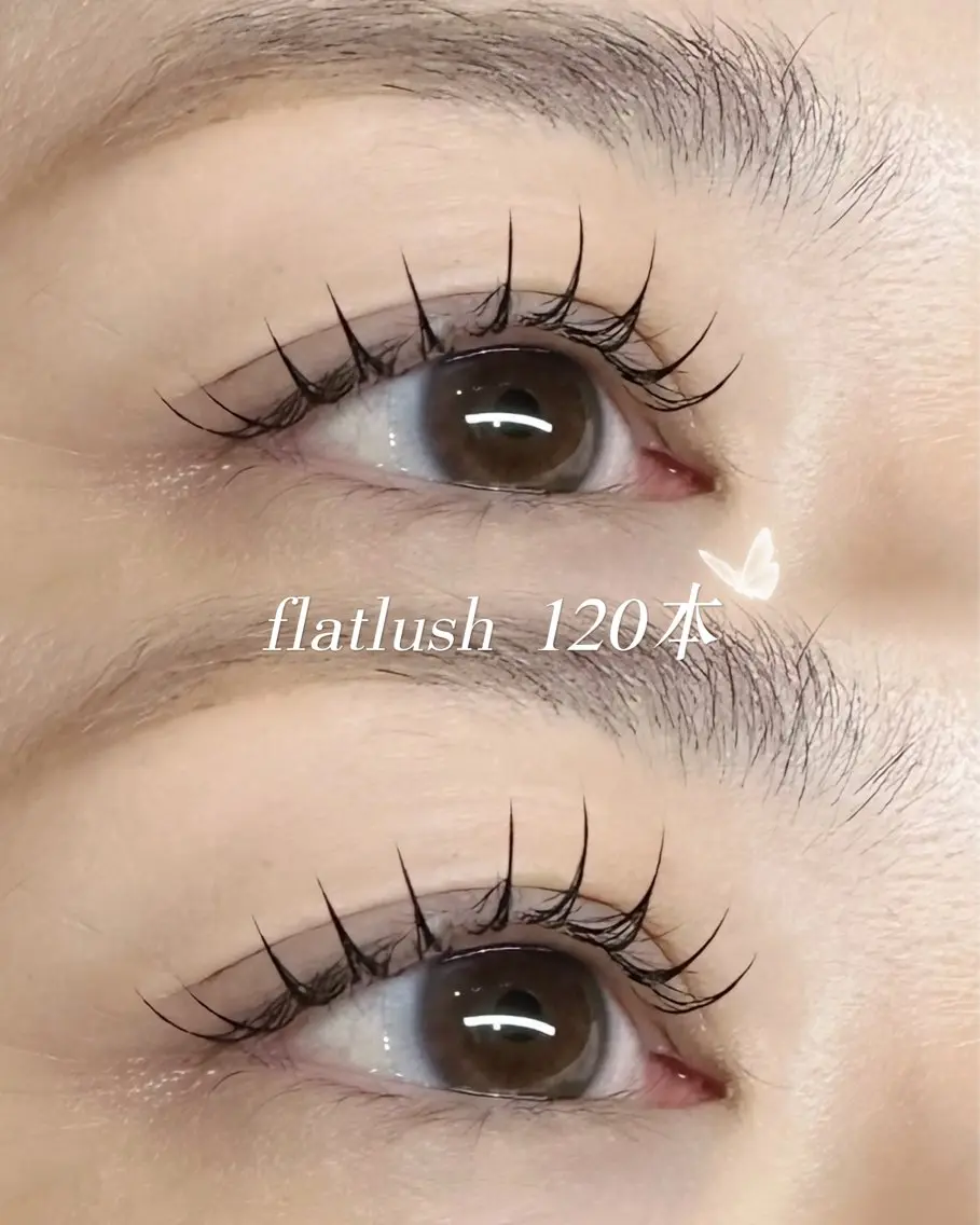 フラットラッシュ120本の写真