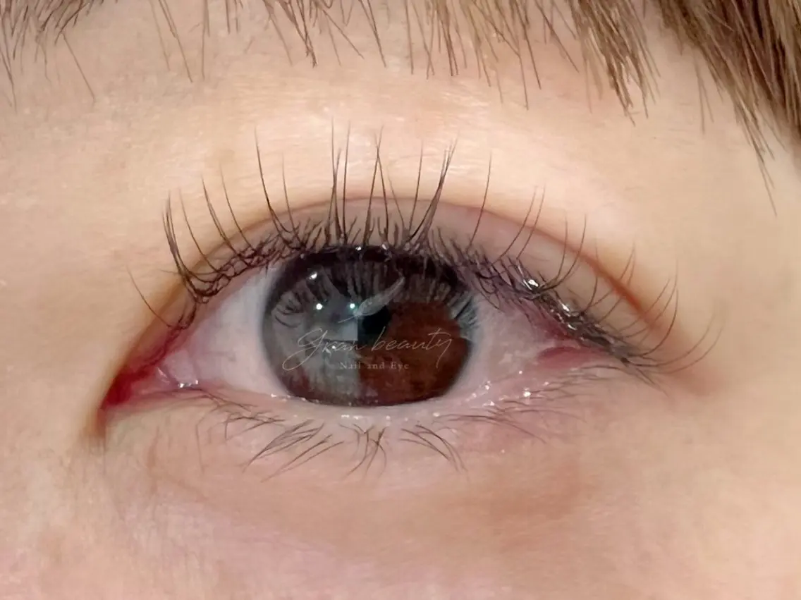 🌿 シングルラッシュ 80本 🌿の写真