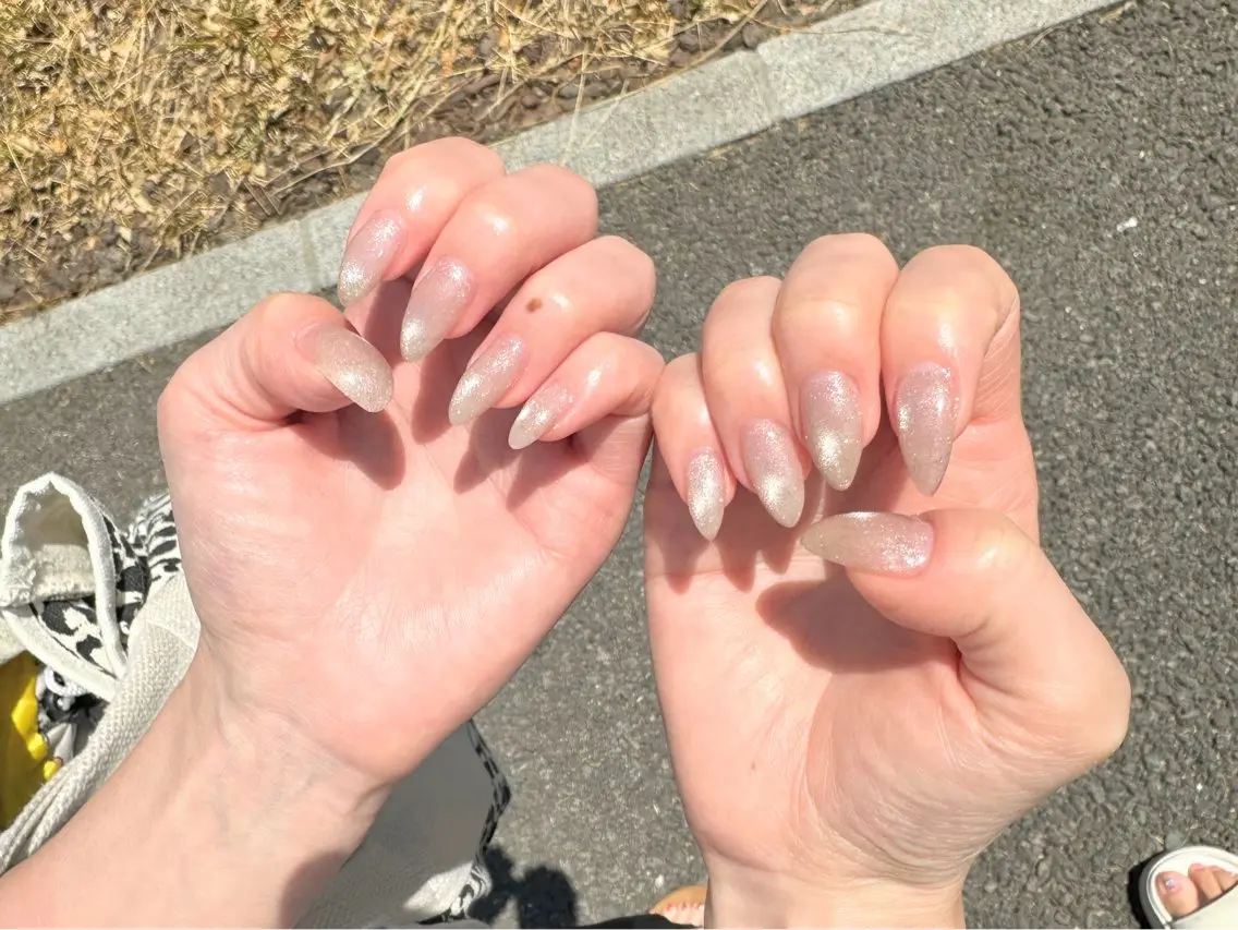 ネイル キラキラネイル ラメ(グリッター) マグネットネイル Viel💅 〜yuki〜のネイルデザイン