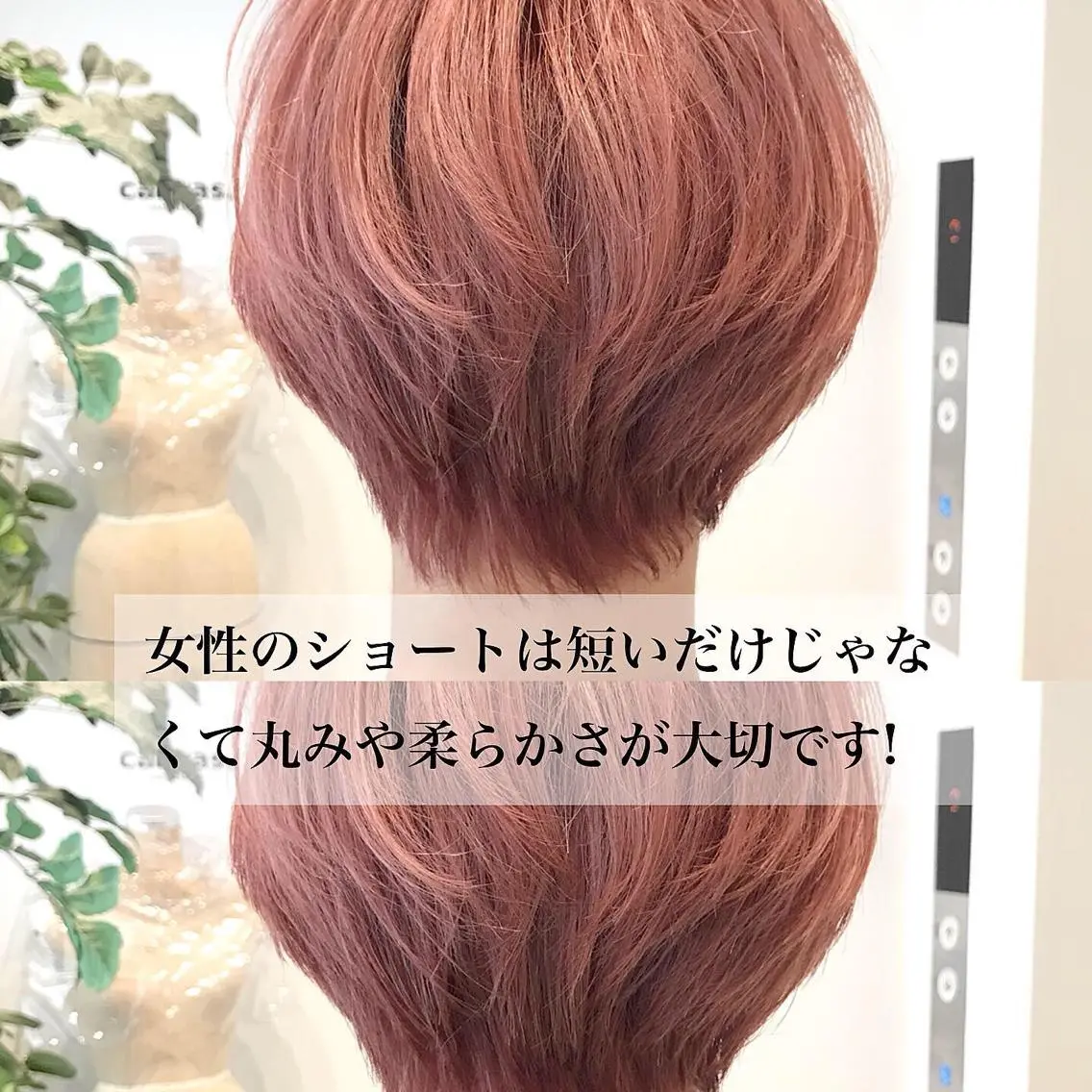 ショート カラー ハイトーンカラー ピンクカラー ショートヘア カット ショートヘア💫 ハイトーン西田拓馬のヘアスタイル